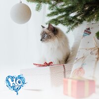 Veselé Vánoce a šťastný nový rok 2026 Veselé Vánoce a šťastný nový rok 2026